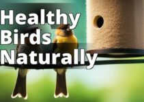 Dosage And Safety Of Cannabidiol For Birds: What Every Pet Owner Should Know