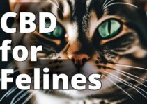 Cannabidiol For Cats: A Comprehensive Guide To Its Benefits In Pet Care