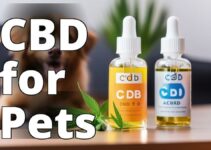 3. Using Cannabidiol To Improve Your Pet’S Behavior: A Comprehensive Guide