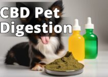 A Comprehensive Guide To Using Cannabidiol For Pet Digestive Health