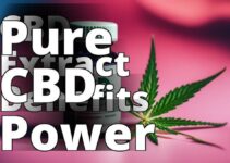 The Ultimate Guide To Cbd Extracts And Their Benefits