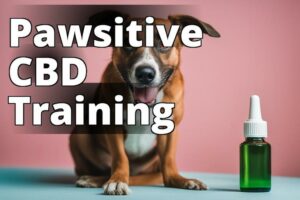 The Ultimate Guide To Using Cannabidiol For Safe And Effective Pet Training