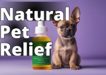 A Comprehensive Guide To Using Cannabidiol For Small Animals: Benefits And Product Information