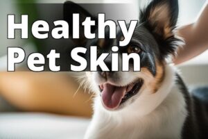 Cbd For Pet Skin Conditions: A Natural And Effective Solution