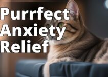 Relieve Your Cat’S Anxiety With Cbd Oil: A Comprehensive Guide To Benefits And Best Practices