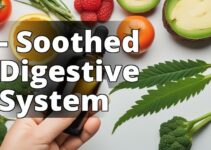 Cbd Oil: A Game-Changer For Digestive Health And Wellness