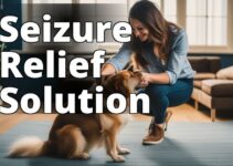 Unveiling The Remarkable Benefits Of Cbd Oil For Seizures In Dogs: A Comprehensive Guide