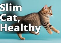 The Ultimate Guide To Cbd Oil Benefits For Cat Weight Management