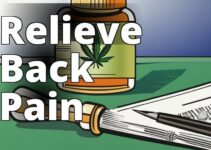 Experience Fast And Natural Back Pain Relief With Cbd Oil