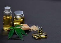 Why Does Cannabidiol Influence Hunger Signals?